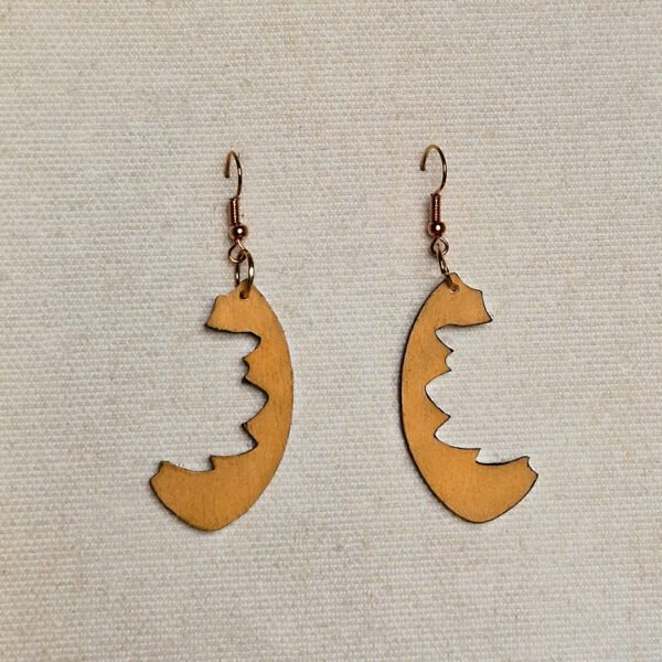 Boucles d’oreille ​Croissant du désert - Image 8